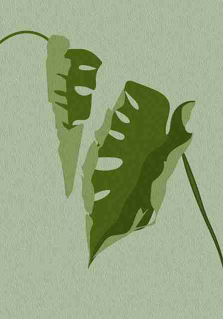 妻社网页版（收藏必看）：全景攻略与高能亮点