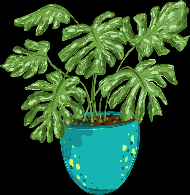 每日大赛吃瓜×内容深度：专家级解析