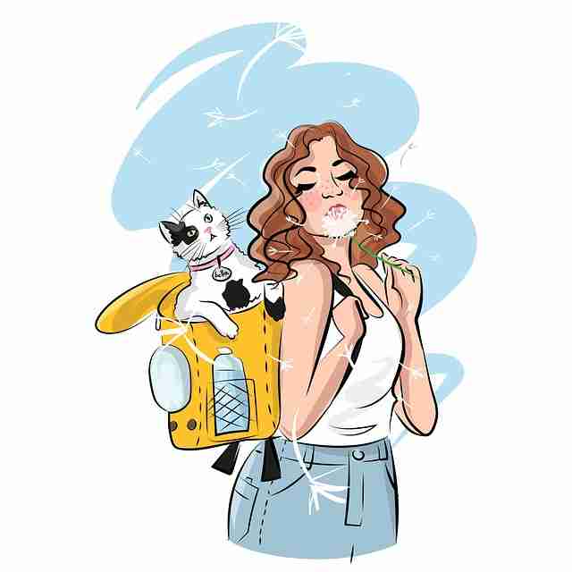 从品牌升级看P站官网入口：156个关键点——全新视角