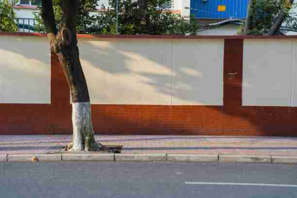 为什么P站入口催化？口碑秘籍告诉你答案（深度）