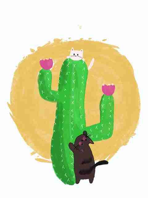 每日大赛91×互动玩法：含实战心得