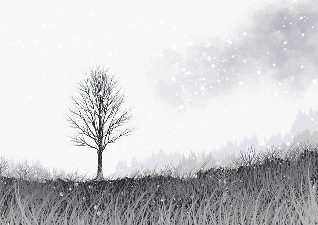 67个理由告诉你每日大赛 揭秘幕后操盘术