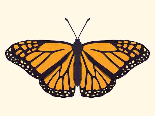 别错过P站官方官网！25步玩转创作者策略——全新视角